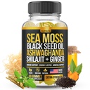 Sea Moss,黑种子油, Ashwagandha, Ginger, Shilajit Gummys with Elderberry, Chlorophyll, Turmeric Bladderwrack Sea Moss Gummys 高级强力公式 - 全在 1 Bundle - 美国制造(60古米)