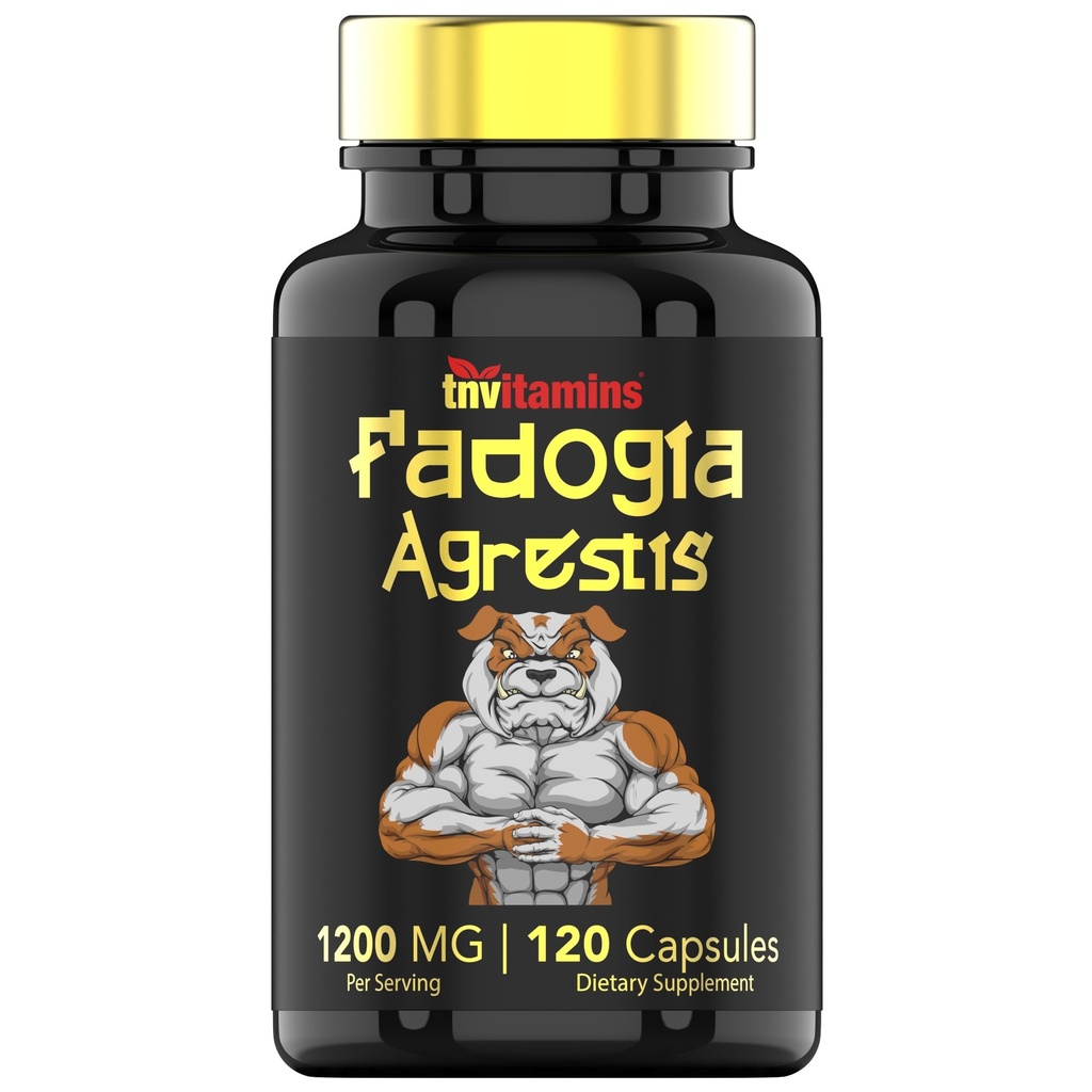 Fadogia Agrestis:1200mg - 120 Capsules QQ Ultra-Potente Fadogia Agrestis 男子能源,动力,力量,运动性能和运动性营养 QQ 非GMO 在美国制造!