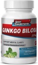 记忆与焦点的大脑补充 - Ginkgo BILOBA 120MG - Gingko biloba Plant,成人的焦点补充,Gingko biloba 补充,Ginko biloba Pills Natural,记忆补充 - 1B 60 Caps
