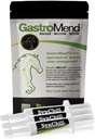 SynChill 3 Pack + GastroMend Bundle for Horses - 综合胃健康与行为支持,胃溃疡救治中的艾滋病,促进冷静与焦点,一切自然,成本有效