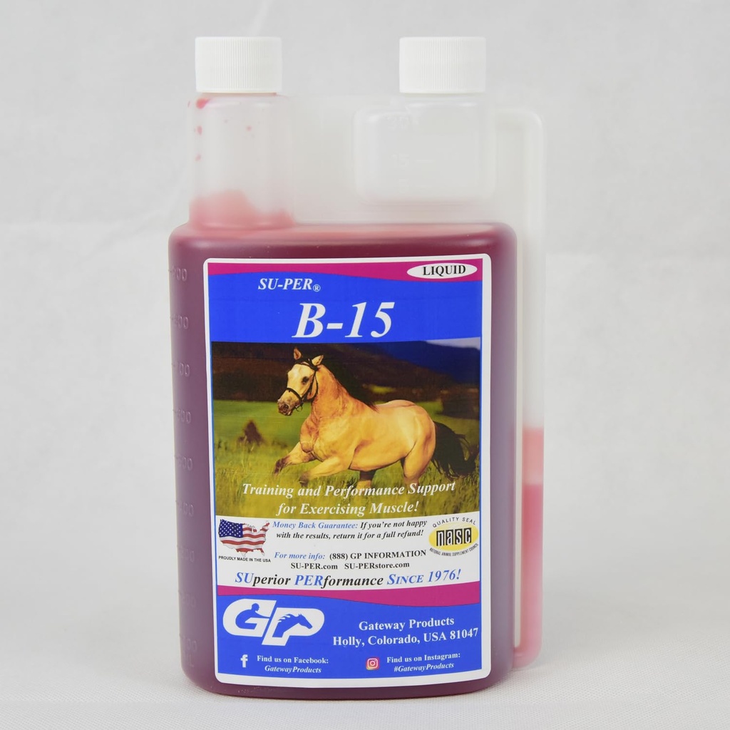 超级PER B-15 马肉维生素补充剂 - Equine Vitamin B-15 性能支持液 - 支持普通心血管免疫和肌肉功能 - 1 Quart, (2 Pack)
