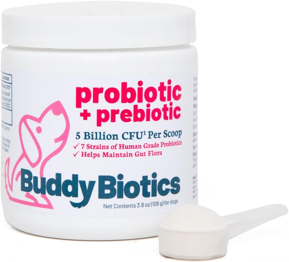 Buddy Biotics Probiotic + 狗-Gut Flora 健康、消化和免疫健康、腹泻和肠道支持的预生 – 5亿 CCFU per Scoop