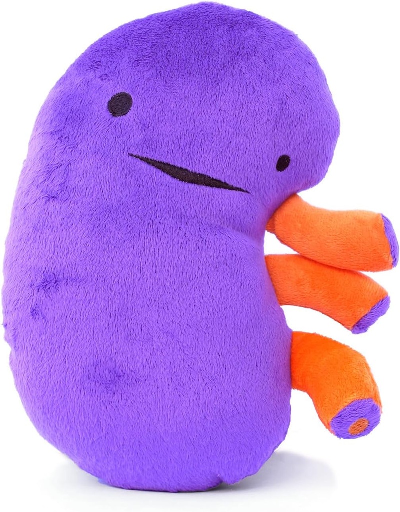 I Heart Guts Kidney Plush – 9)" 肾病教育器官玩具,移植恢复,透析,CKD,多细胞肾脏,肾衰竭 – 有趣的Get Well Gift