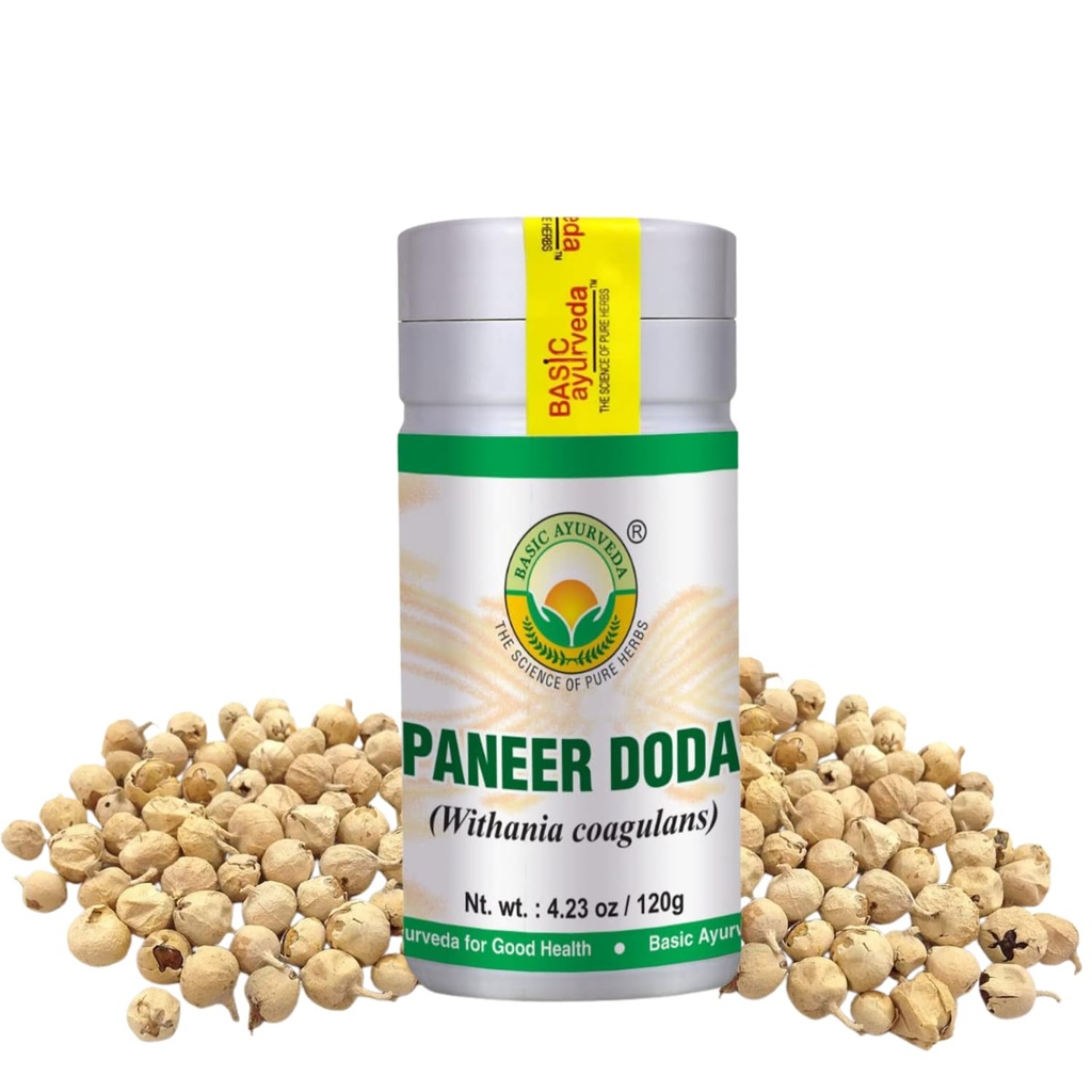 BASIC AYURVEDA Paneer Doda Powder (Wisania Coagulans) — 4.23 Oz(120g) — — — — — — — — — — — — — — — — — — — — — — — — — — — — — — — — — — — — — — — — — — — — — — — — — — — — — — — — — — — — — — — — — — — — — — — — — — — — — — — — — — — — — — — — — — — — — — — — — — — — — — — — — — — — — — — — — — — — — — — — — — — — — — — — — — — — — — — — — — — — — — — — — — — — — — — — — — — — — — — — — — — — — — — — — — — — — — — — — — — — — — — — — — — ( — — — — — — — — — — — — — — — — — — — — — — — — — — — — — —