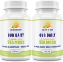 我们的每日Vites Sea Moss Capsules 1500mg (2 Pack) - 野生爱尔兰海 Moss Bladderwrack and Burdock Root Superfood Blend - Immune system, Gut Health & Thyroid Supports - 240 植物学家 Capsules