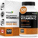 RENEW ACTIVES 最大强度 维生素C 1000MG 每服1 000MG – 抗氧化剂和免疫促进剂促进整体健康,骨骼,牙齿和胶类 – 非GMO,无糖,4-Month供应 – 加拿大制造 – 120 Capsules