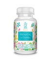 ACTIF 含30+有机维生素的产前有机维生素,100%天然,DHA,EPA,Omega 3和有机草药混合剂 - 非GMO,90 Counter, 2024 Formula