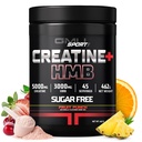 GMU SPORT - 配有HMB粉末的Creatine 单水合物 - 45 services, Creatine HMB 补充品,配有HMB的Creatine 用于增强强度,肌肉生长和增强能量,3G HMB/Fruit Punch