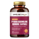 圆柱形昆仑-PQQ补充物 20毫克-支持心脏健康*-无糖、非GMO、Vegetarian-60 Veg Capsules