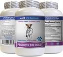 对狗的口腔护理 恶性呼吸 - PROBIOTICS 对狗的口腔护理 - 健康口腔 - 停止毒气痢疾和恶性呼吸 - 消化剂 - 狗亲生素 痢疾 - 1瓶(60份治疗)