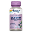 SOLARAY Bilberry Berry 提取 60 mg → 强抗氧化剂 → 健康视野和循环支持 → 60 Veg Caps