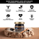 Vedapure Purest Himalayan Shilajit Resin 100%纯 Shilajit 配富尔维奇酸和85+ 能源和免疫支持跟踪矿物综合体,15克