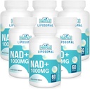 Liposomal NAD+ Supplement 1000 mg → 最高 NAD Pontecy → 最大吸收 → 纯 NAD Supplement → 能源和DNA修复,老化防御,大脑功能 → 360软胶
