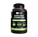Garcinia Cambogia, 无镁或水稻填充器, 永远纯净, 实验室验证(365计)