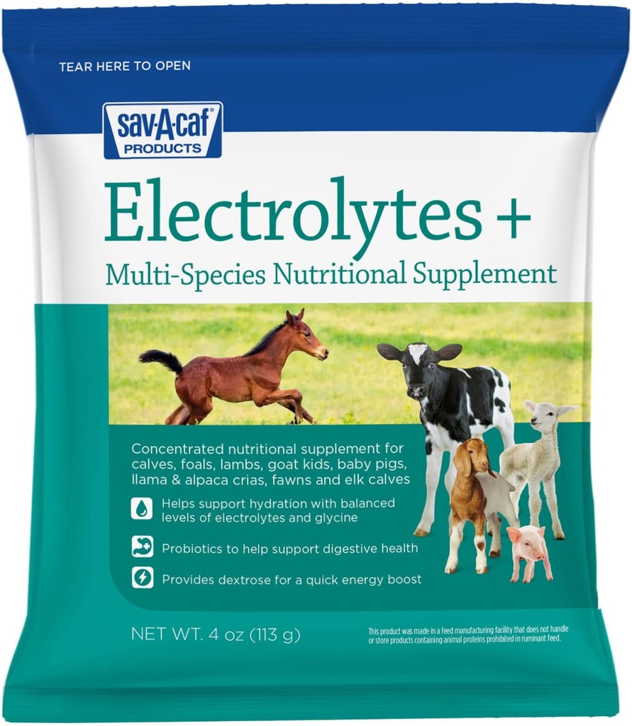 Sav-A-Caf + Electrolytes Plus 多类型补编 + 4 Ouences(4 OZ) 包