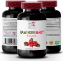 莓汁补充剂 - HAWTHORN BERRIES EXTRACT - 女性抗氧化剂补充剂,抗氧化剂浆果,抗氧化剂浆果混合剂,Hawhorn Berry 抗氧化剂,野生莓能量 Hawhorn 能量 1Bot 60Caps