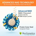 REVGENETICS 高级NAD+ 补编, 60 Capsules - 健康老化和长寿膳食补编