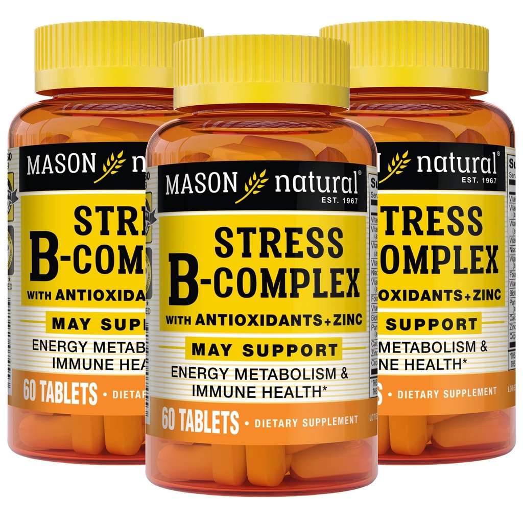 MASON NATURAL压力B,与抗氧化剂+锌的混合,6个月供应,双行动公式,支持能量代谢和免疫健康,3包