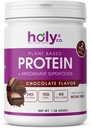 Holy & Co. Plant 基于蛋白质混合摇摆,Gluten Free Cocolicals Flawared, Kosher, 供男女使用, 2 亿 Probiotics, Monk水果糖 - 16 oz (1 LB)