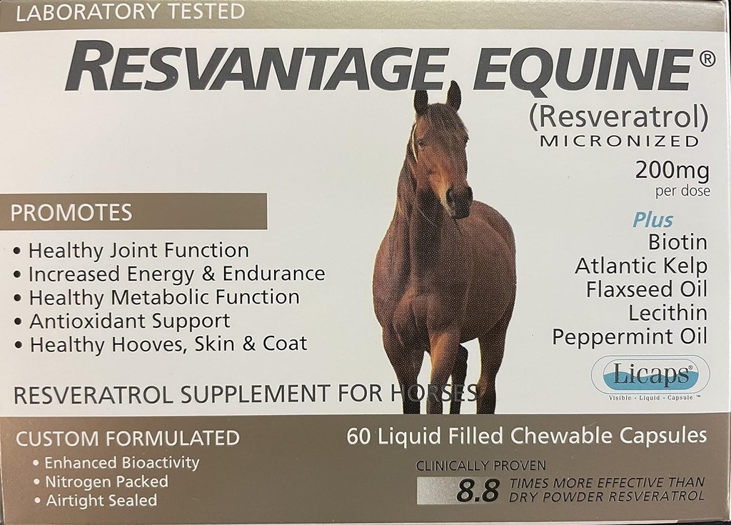 Equine 补充 60 可咀嚼的再生醇 液体 填充的马盖