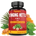 与Boswellia、Turmeric & Saw Palmetto 的 Stinging Nettle Capsules - 2个月联合供应、身体管理、皮肤、头发和豁免