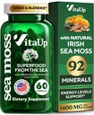 爱尔兰野生海苔(英语:Irish Sea Moss Capsules) 配有Burdock Root & Bladderwrack - 美国制造海苔(英语:Made Sea Moss) 头发,皮肤,Immune & Energy 等级支持 - SeaMoss Pills - 60 Vegan Capsules