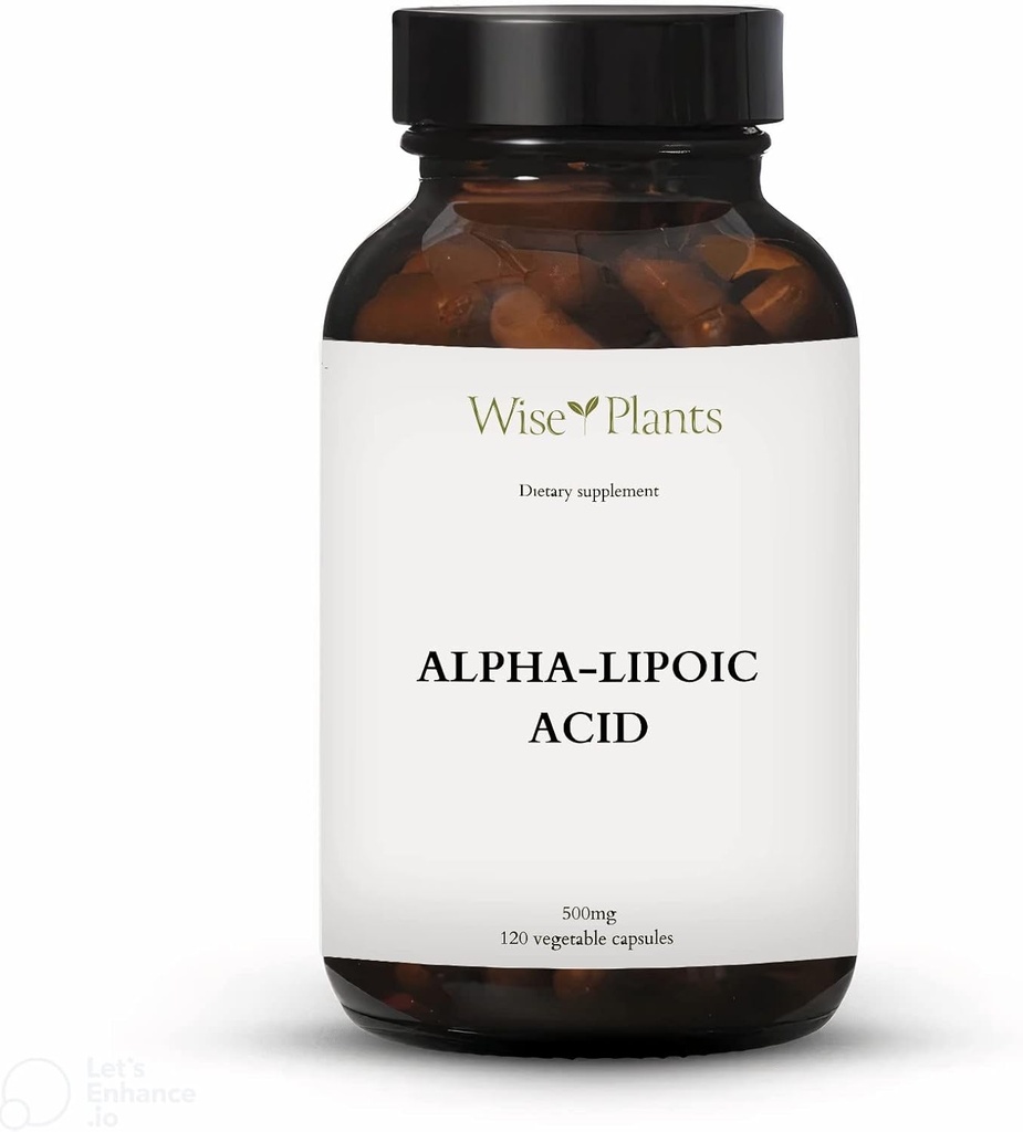 Alpha-Lipoic Acid - 非GMO - 500毫克,120个服务对象(供应4个月),能量水平,Mitochondria支助