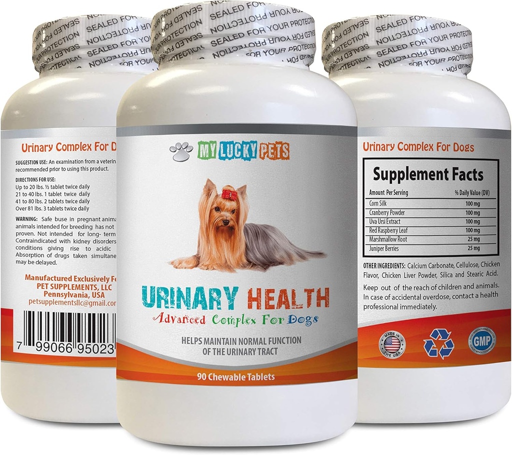 狗尿失禁 - 狗尿失禁健康公式 - 帮助解决失禁和斑点问题 - Immune Boost - 玉米丝绸帽用于狗 - 1瓶(90份治疗)