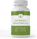 纯原始成份 日本 Knotweed, (100 Capsules) 永远纯, 无添加剂或填充器, 实验室验证