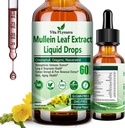 Mullein Drops for Lungs, 有机Mullein Leaf提取剂 for Lung Detox w. Chlorophyll Elderberry Oregano Oregano Oil Resveratrol Mullein Tincture 酒精无毒,原Flavor, 2 fFl/Oz