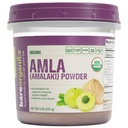 BareOrganics Amla Powder - Organic Indian Gooseberry Superfood Powder, Finely Ground Amla for Smoothies, Teas & Recipes, Non-GMO, Vegan, 8 Oz