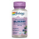SOLARAY Bilberry 抽取 160毫克,眼科健康和循环支持,36% Anthocyanosides + Blueberry, Vegan, 30 Veg Caps