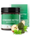 HERBAMMA Stinging Nettle Gummys - 7500mg Stinging Nettle 根提取器,用于对女性和男性的尿道切除支持 - Vegan, Non-GMO Urtica Dioica 补编 - 60 Pectin-Apple-Flavored Chews