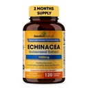 SANNDHHERBALS 桑德胡草药 Echinacea Goldenseal 1000 Mg 120 Capsules 免疫系统支持呼吸系统反应炎症反应补编
