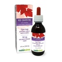 Naturalma Red Grapevine (Vitis vinifera) 叶无酒精小叮当 - 4 fl oz 滴水中的液体提取 - 草药补充 - Vegan