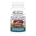 主机 Defense MycoBotanics 压力减压* Capsules - 蘑菇增殖,配有柠檬Balm & Ashwagandha Root - 配有Reishi, Lion's Man & Skullcap - 60 Capsules (30 services) *