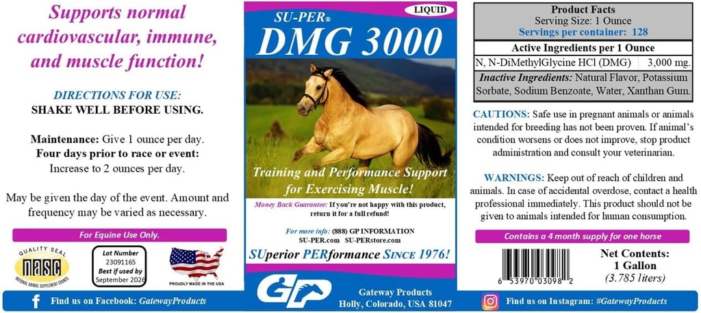 SU-PER DMG 3000 马匹补充 - 培训和性能支持液体 - 支持正常心血管免疫和肌肉功能 - 1 Gallon, 4个月供应