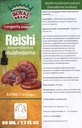 Reishi 蘑菇补充剂/我们的Reishi 蘑菇提取剂促进长寿/Reishi 蘑菇丁基-50ml/1.7 Fl Oz