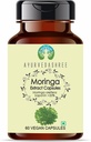 Moringa 提取500mg - 60 蔬菜 Capsules | Moringa Oleifera | All Natural | 100% Vegan | Gluten-free | GMP认证.
