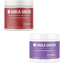 Amla Powder & Green Tea Superfood 补充品,抗氧化剂支持,与 Hibiscus (90 services) & Elderberry (30 services), Organic, Vegan一起制造