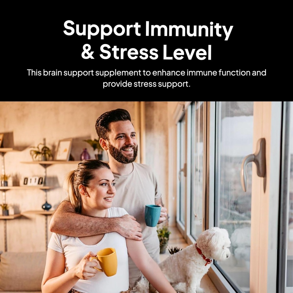 Morse医生的大脑和神经系统支持 - 支持豁免和应激水平 - Naturopath 公式化的诺热带补充 - Ginkgo Leaf, Gotu Kola, Astragalus Root & Butchers Broom - 90 Capsules