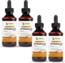 最大草药(Maxx Herb Astragalus)根提取器 - 最大强力液体丁醇比卡普尔或粉末更好,用于免疫支持和精神清晰度 - 4瓶,4 Oz Each (240 services)