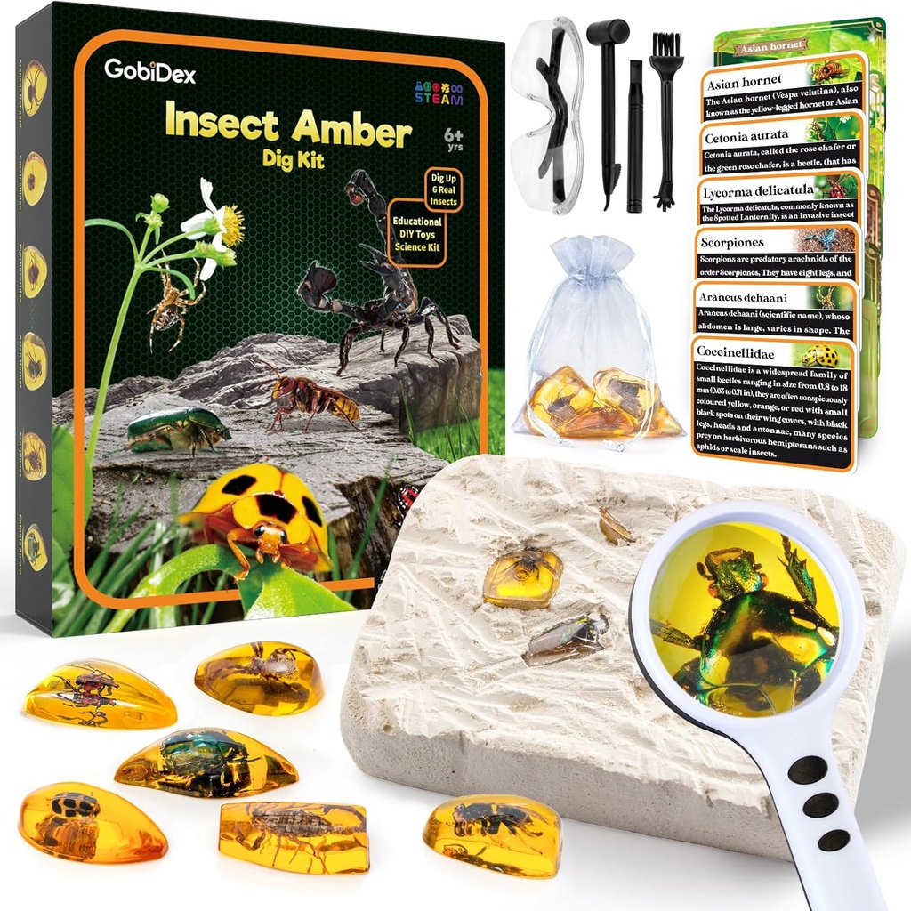GobiDex Amber Dig Kit - 人工昆虫 Rein, Excavate 6 昆虫标本, STEM 地理教育 臭虫玩具, 为趣味虫党所爱的挖掘玩具, 为6-8 8-12岁孩子所爱的科具