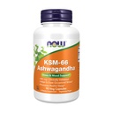 现在的补编,KSM-66 Ashwagandha,压力和睡眠支助,90 Veg Capsules