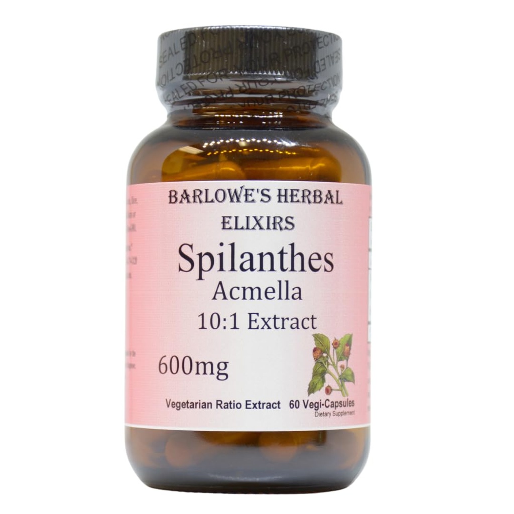 Spilanthes Acmella 提取 | 600 mg Per Capsule | 草本植物自然健康与平衡补充 | 60 Vegan Capsules | 无 Steate-free, Glass Botled for Freshness