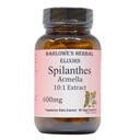 Spilanthes Acmella 提取 | 600 mg Per Capsule | 草本植物自然健康与平衡补充 | 60 Vegan Capsules | 无 Steate-free, Glass Botled for Freshness