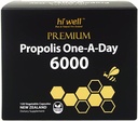 Hi, Well Premium Propolis One-A-Day 6000 Flavonoid 120 mg 120 Capsules (英语).