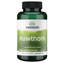 Swanson Hawthorn 提取器(标准化) 250毫克 120毛