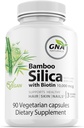 带Biotin Vegan 3个月方便供应的竹子