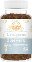 Cordyceps Mushroom Gummys - May支持能源,耐力,和Stamina - 热带芒果火焰 - Vegan, Non-GMO, Gluten-Free, Gelatin Free - 60 Counters